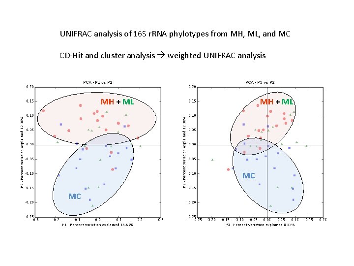 UNIFRAC analysis of 16 S r. RNA phylotypes from MH, ML, and MC CD-Hit UNIFRAC analysis of 16 S r. RNA phylotypes from MH, ML, and MC CD-Hit
