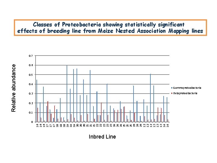 Classes of Proteobacteria showing statistically significant effects of breeding line from Maize Nested Association Classes of Proteobacteria showing statistically significant effects of breeding line from Maize Nested Association