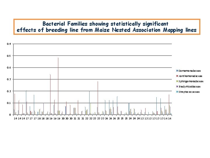 Bacterial Families showing statistically significant effects of breeding line from Maize Nested Association Mapping Bacterial Families showing statistically significant effects of breeding line from Maize Nested Association Mapping
