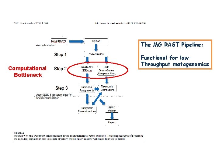 The MG RAST Pipeline: Computational Bottleneck Functional for low. Throughput metagenomics The MG RAST Pipeline: Computational Bottleneck Functional for low. Throughput metagenomics