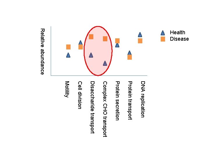 Relative abundance Health Disease DNA replication Protein transport Protein secretion Complex CHO transport Disaccharide Relative abundance Health Disease DNA replication Protein transport Protein secretion Complex CHO transport Disaccharide