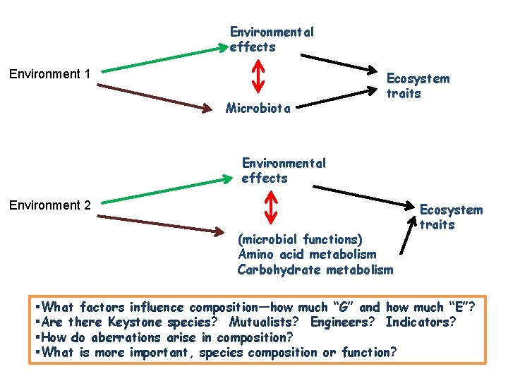 Environmental effects Environment 1 Microbiota Ecosystem traits Environmental effects Environment 2 (microbial functions) Amino Environmental effects Environment 1 Microbiota Ecosystem traits Environmental effects Environment 2 (microbial functions) Amino