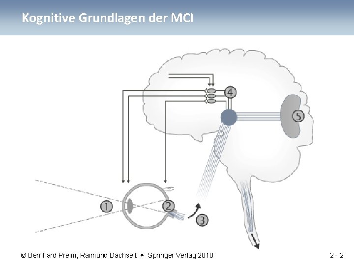 Kognitive Grundlagen der MCI © Bernhard Preim, Raimund Dachselt Springer Verlag 2010 2 -2