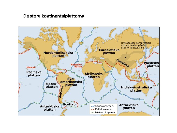 De stora kontinentalplattorna De stora kontinentalplattorna