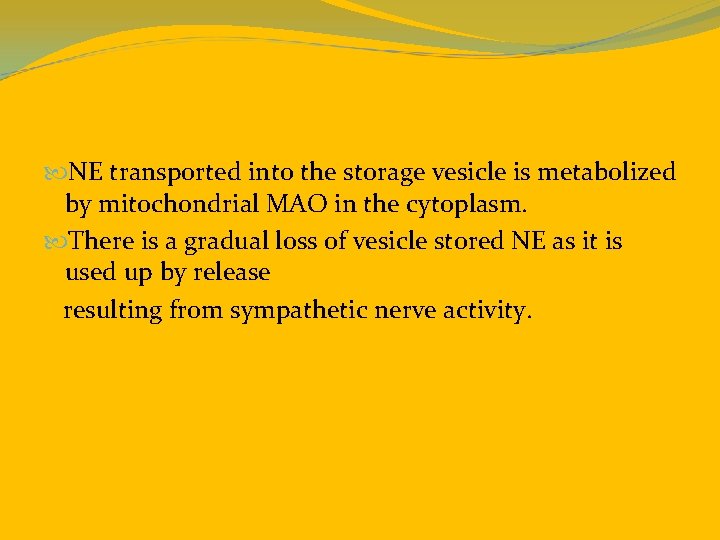 NE transported into the storage vesicle is metabolized by mitochondrial MAO in the