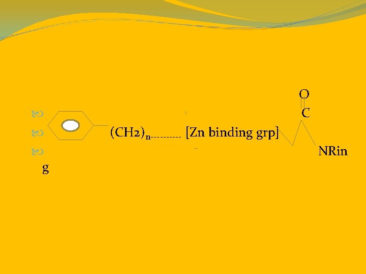  O C (CH 2)n----- [Zn binding grp] NRin g 