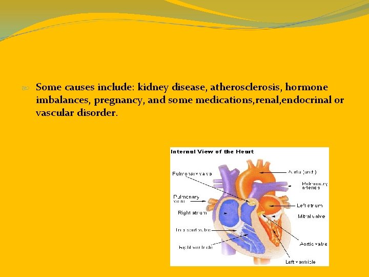  Some causes include: kidney disease, atherosclerosis, hormone imbalances, pregnancy, and some medications, renal,