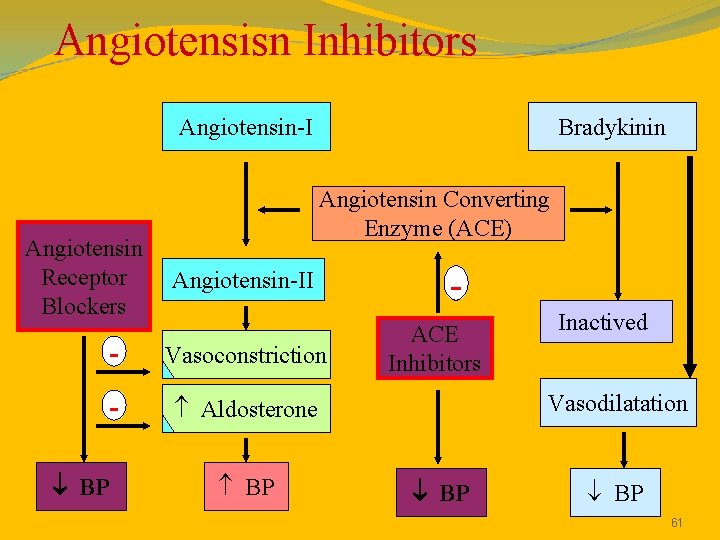 Angiotensisn Inhibitors Angiotensin-I Angiotensin Receptor Blockers Bradykinin Angiotensin Converting Enzyme (ACE) Angiotensin-II - Vasoconstriction