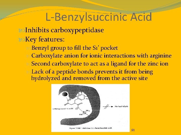 L-Benzylsuccinic Acid Inhibits carboxypeptidase Key features: Benzyl group to fill the S 1’ pocket