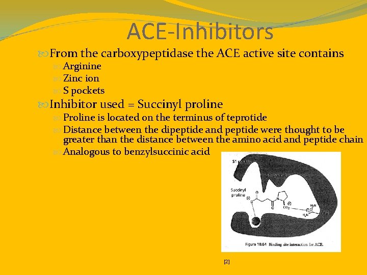 ACE-Inhibitors From the carboxypeptidase the ACE active site contains Arginine Zinc ion S pockets
