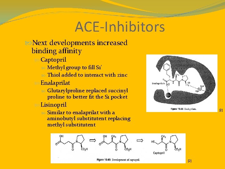 ACE-Inhibitors Next developments increased binding affinity Captopril Methyl group to fill S 1’ Thiol