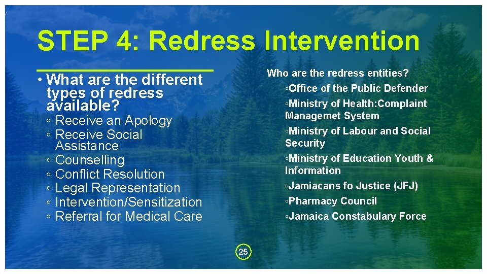 STEP 4: Redress Intervention Who are the redress entities? ◦Office of the Public Defender