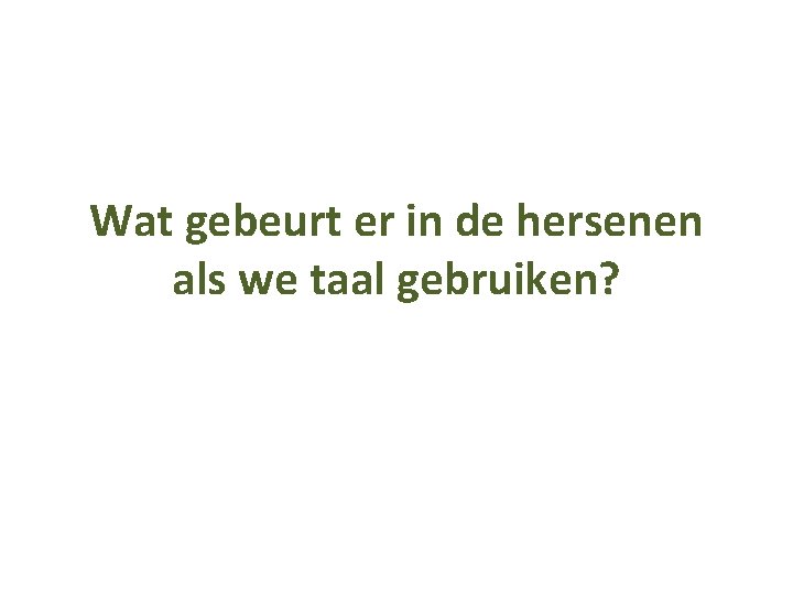 Wat gebeurt er in de hersenen als we taal gebruiken? 