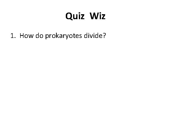 Quiz Wiz 1. How do prokaryotes divide? 