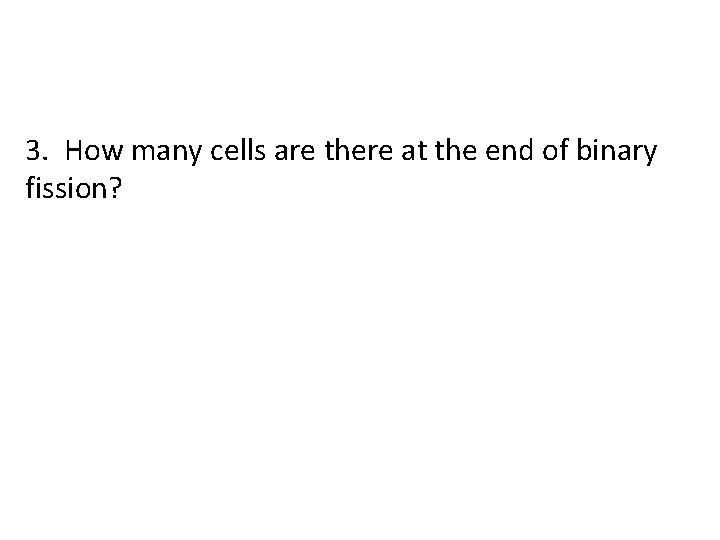 3. How many cells are there at the end of binary fission? 