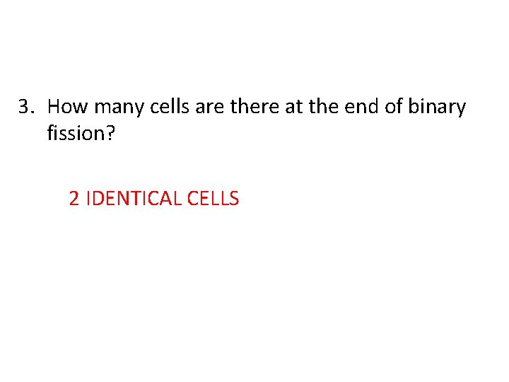 3. How many cells are there at the end of binary fission? 2 IDENTICAL