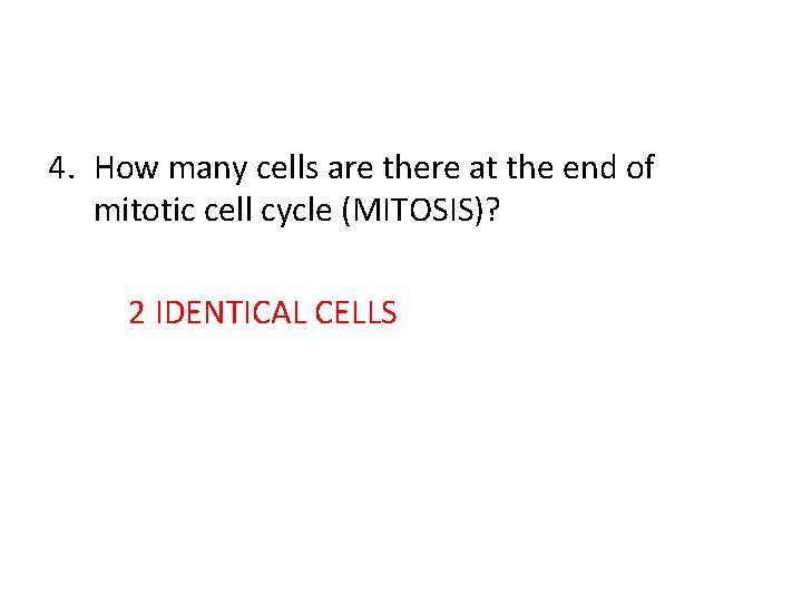 4. How many cells are there at the end of mitotic cell cycle (MITOSIS)?