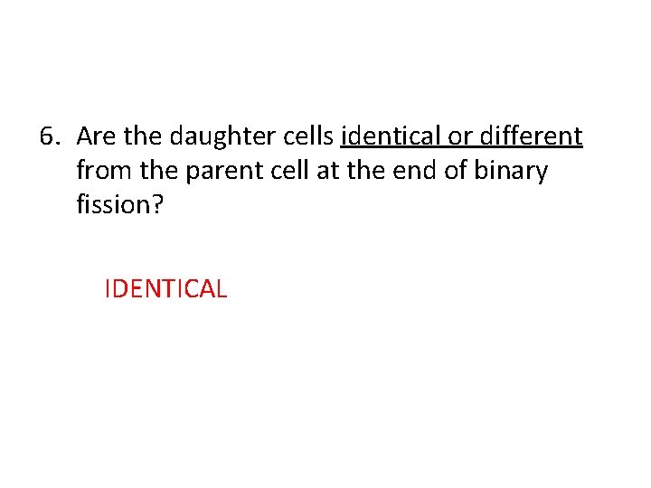 6. Are the daughter cells identical or different from the parent cell at the