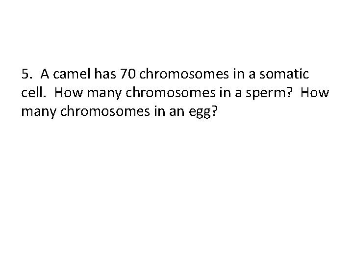 5. A camel has 70 chromosomes in a somatic cell. How many chromosomes in