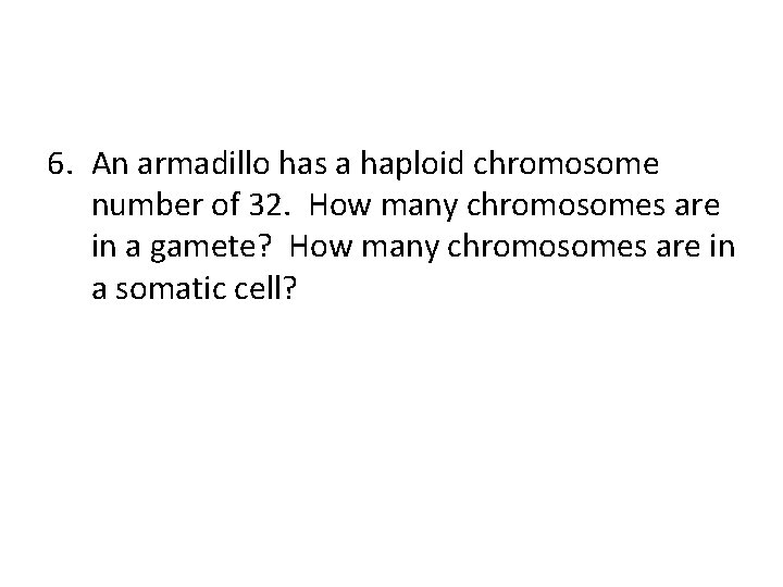 6. An armadillo has a haploid chromosome number of 32. How many chromosomes are