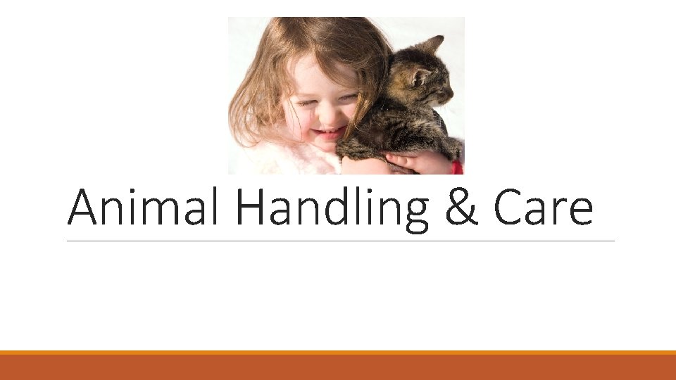 Animal Handling & Care 