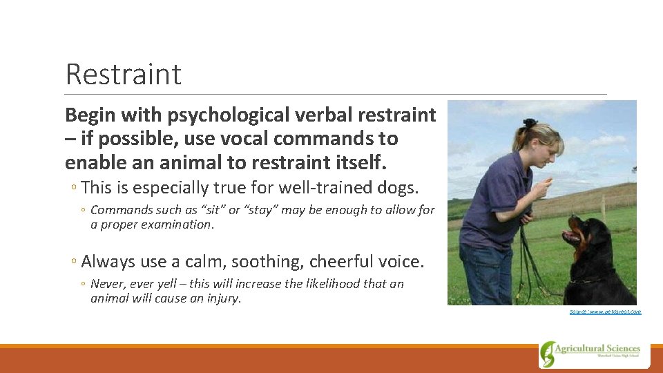 Restraint Begin with psychological verbal restraint – if possible, use vocal commands to enable