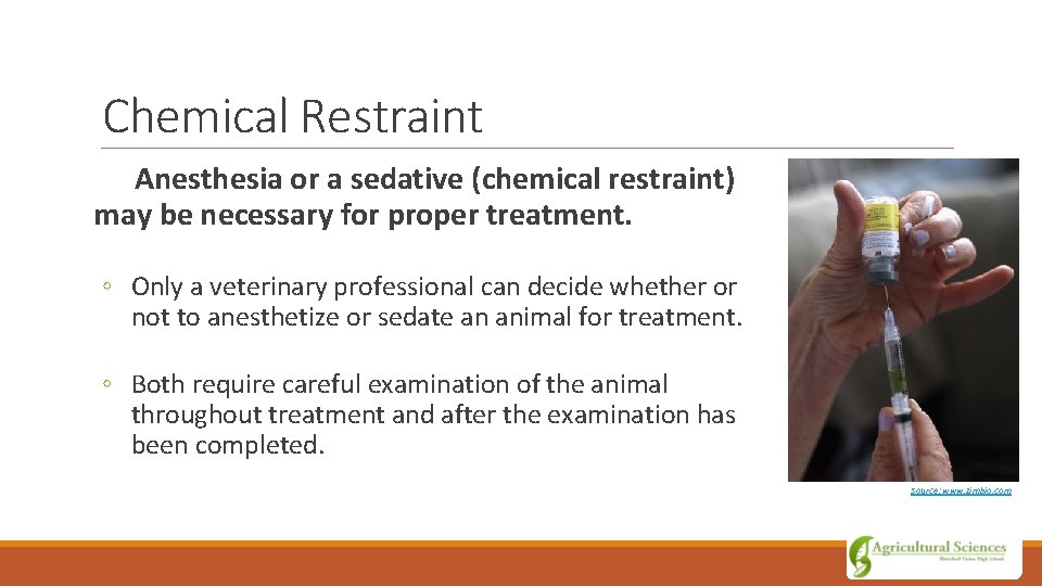 Chemical Restraint Anesthesia or a sedative (chemical restraint) may be necessary for proper treatment.