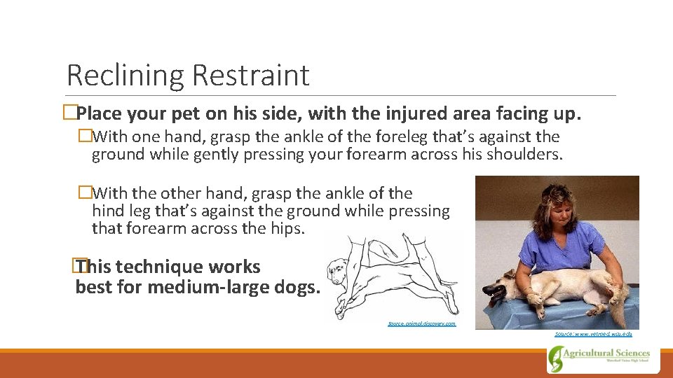 Reclining Restraint �Place your pet on his side, with the injured area facing up.