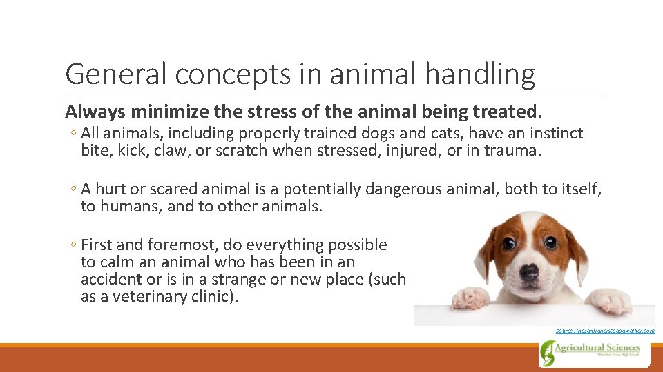 General concepts in animal handling Always minimize the stress of the animal being treated.