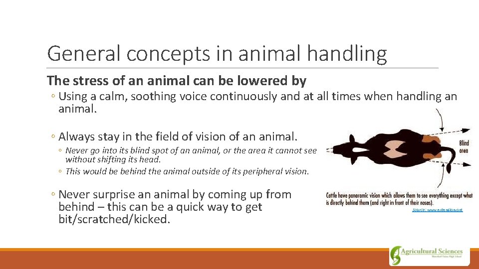 General concepts in animal handling The stress of an animal can be lowered by
