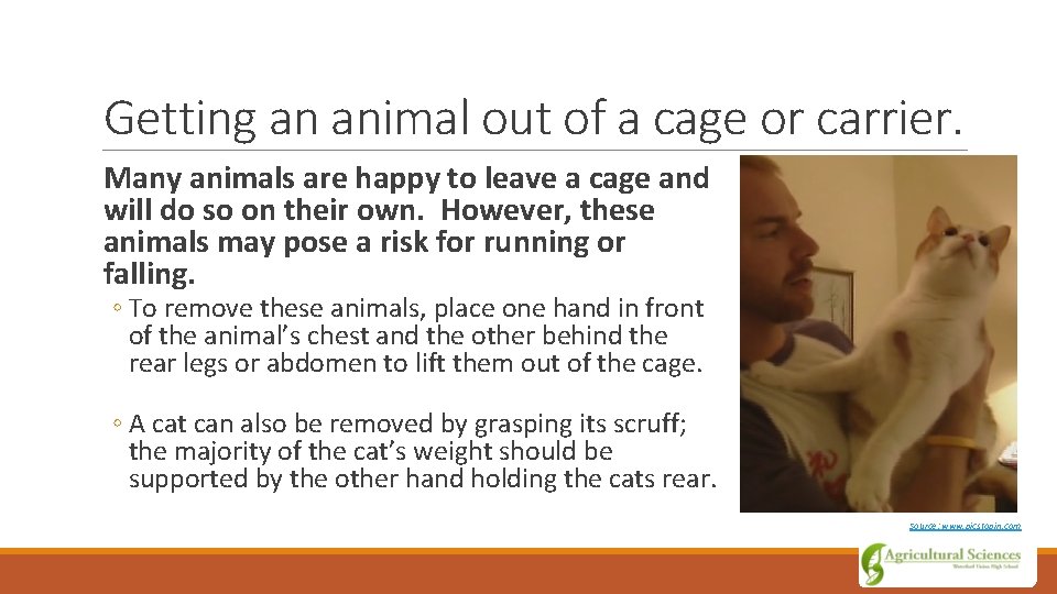 Getting an animal out of a cage or carrier. Many animals are happy to
