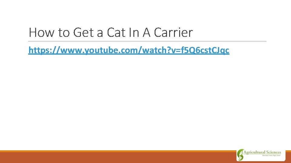 How to Get a Cat In A Carrier https: //www. youtube. com/watch? v=f 5