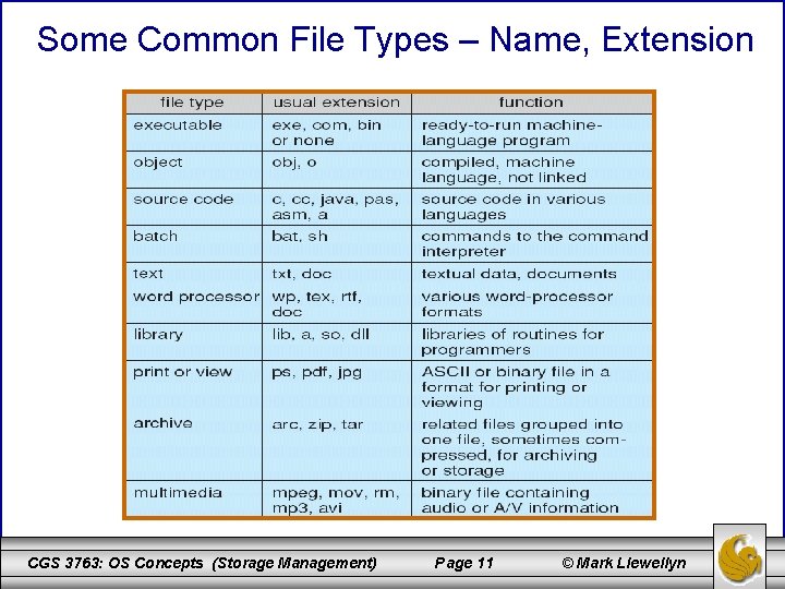 Some Common File Types – Name, Extension CGS 3763: OS Concepts (Storage Management) Page