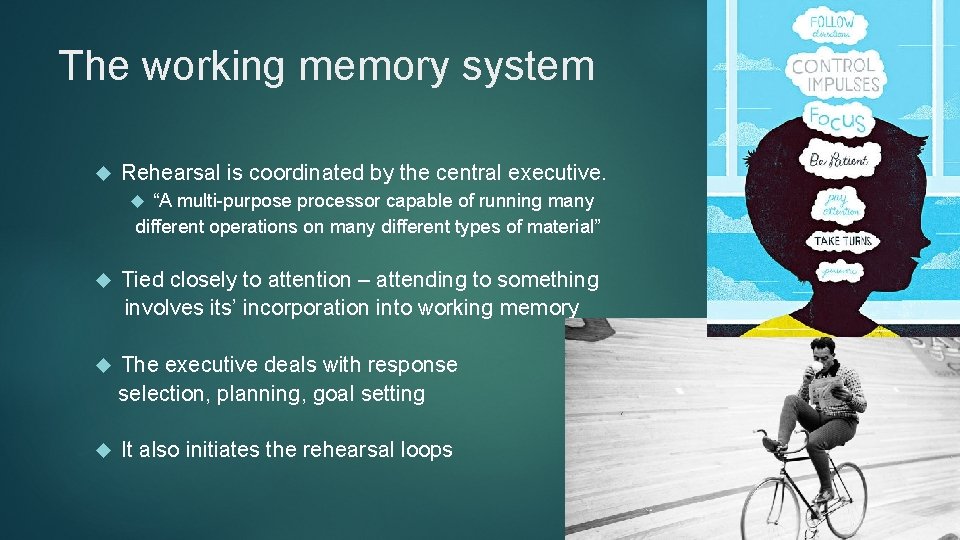 The working memory system Rehearsal is coordinated by the central executive. “A multi-purpose processor