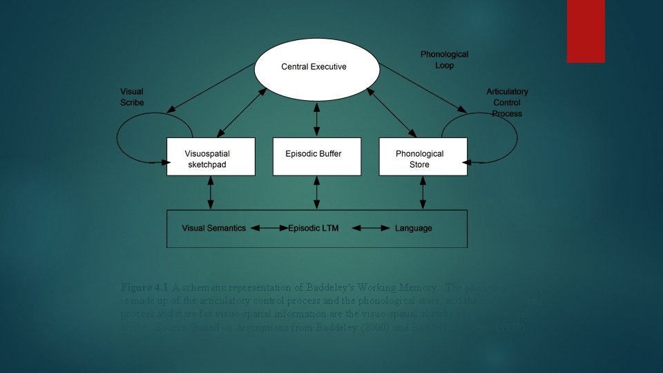 Figure 4. 1 A schematic representation of Baddeley's Working Memory. The phonological loop is