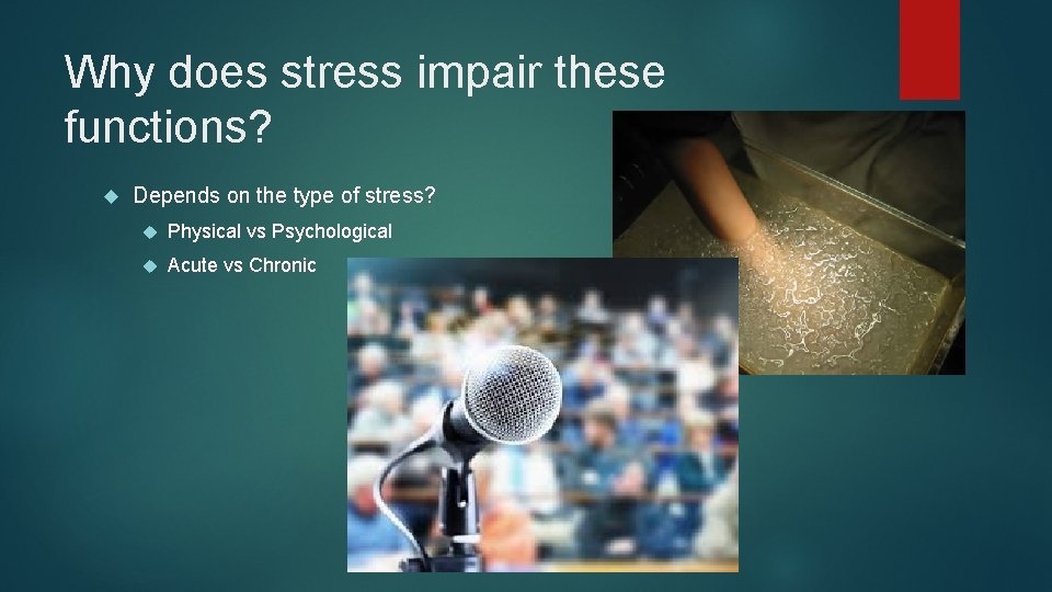 Why does stress impair these functions? Depends on the type of stress? Physical vs