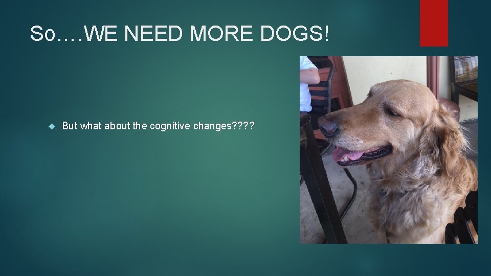 So…. WE NEED MORE DOGS! But what about the cognitive changes? ? 