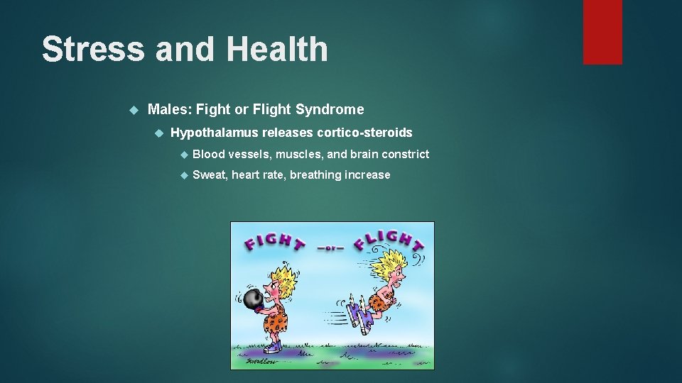 Stress and Health Males: Fight or Flight Syndrome Hypothalamus releases cortico-steroids Blood vessels, muscles,