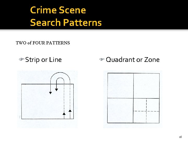 Crime Scene Search Patterns TWO of FOUR PATTERNS FStrip or Line F Quadrant or