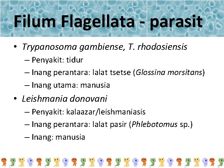 Filum Flagellata - parasit • Trypanosoma gambiense, T. rhodosiensis – Penyakit: tidur – Inang