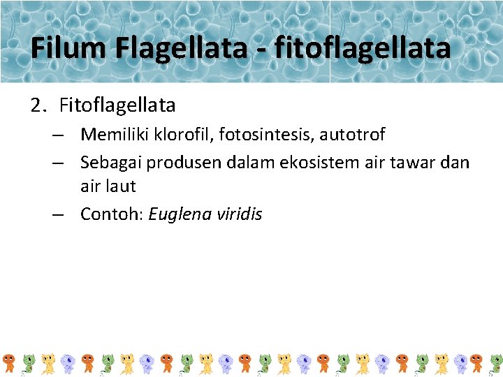Filum Flagellata - fitoflagellata 2. Fitoflagellata – Memiliki klorofil, fotosintesis, autotrof – Sebagai produsen