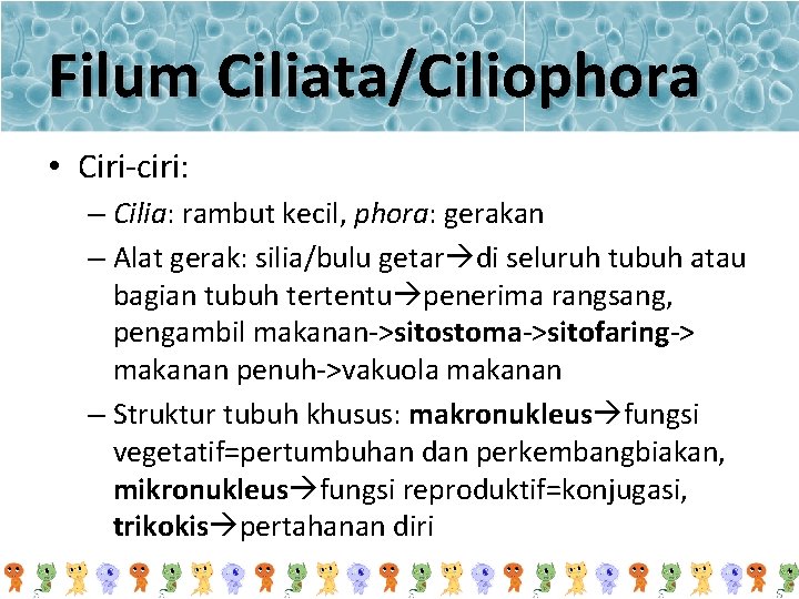 Filum Ciliata/Ciliophora • Ciri-ciri: – Cilia: rambut kecil, phora: gerakan – Alat gerak: silia/bulu