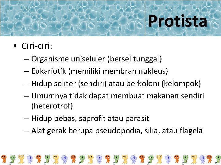 Protista • Ciri-ciri: – Organisme uniseluler (bersel tunggal) – Eukariotik (memiliki membran nukleus) –