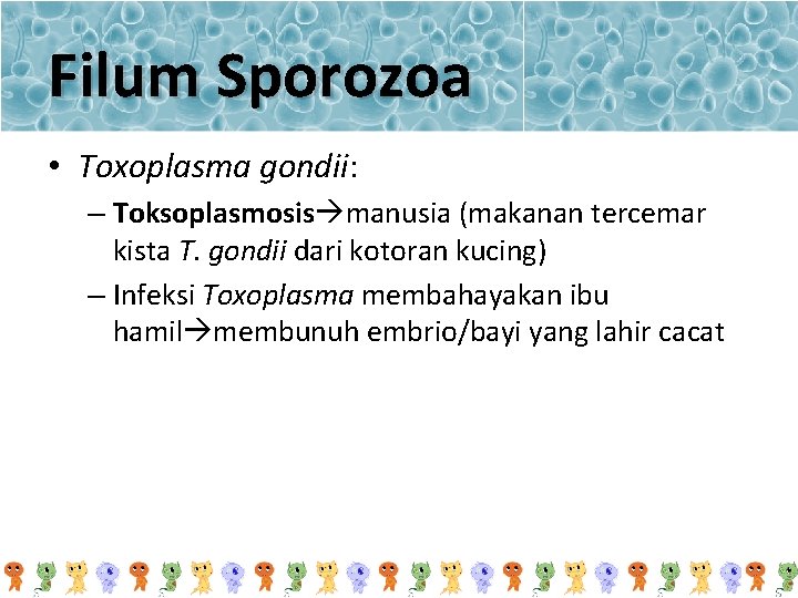 Filum Sporozoa • Toxoplasma gondii: – Toksoplasmosis manusia (makanan tercemar kista T. gondii dari