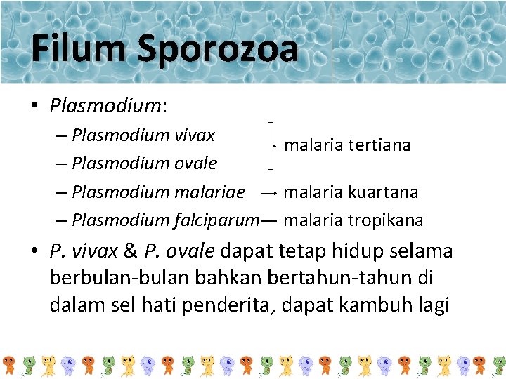 Filum Sporozoa • Plasmodium: – Plasmodium vivax – Plasmodium ovale – Plasmodium malariae –