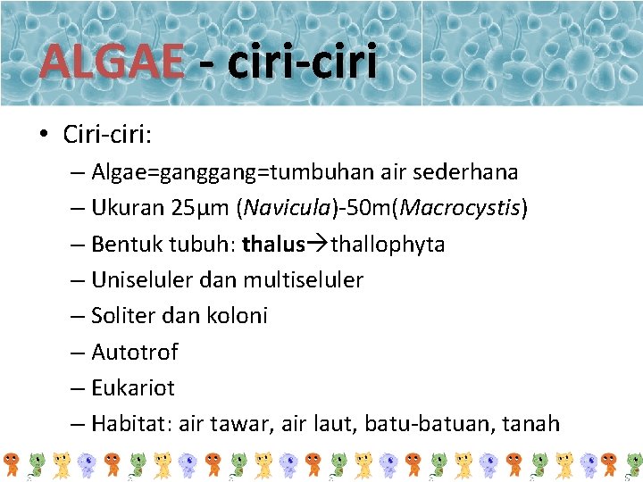 ALGAE - ciri-ciri • Ciri-ciri: – Algae=gang=tumbuhan air sederhana – Ukuran 25μm (Navicula)-50 m(Macrocystis)