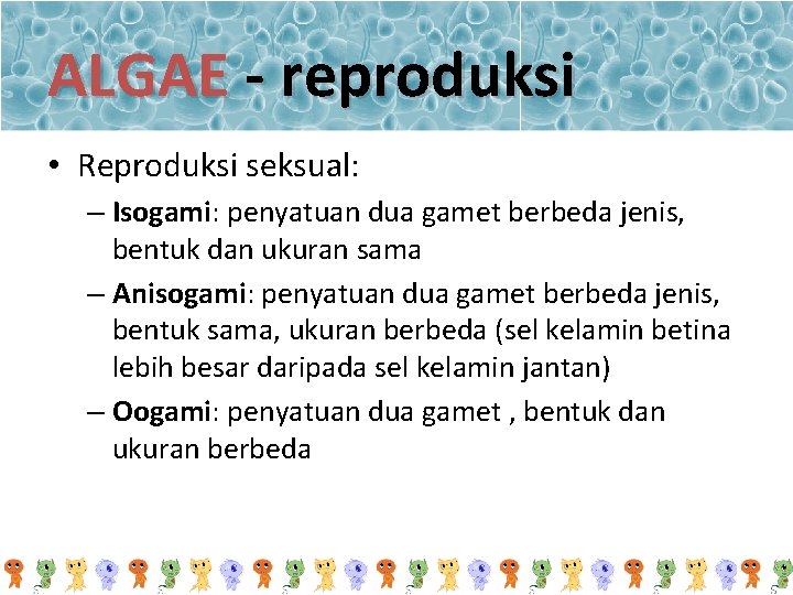 ALGAE - reproduksi • Reproduksi seksual: – Isogami: penyatuan dua gamet berbeda jenis, bentuk