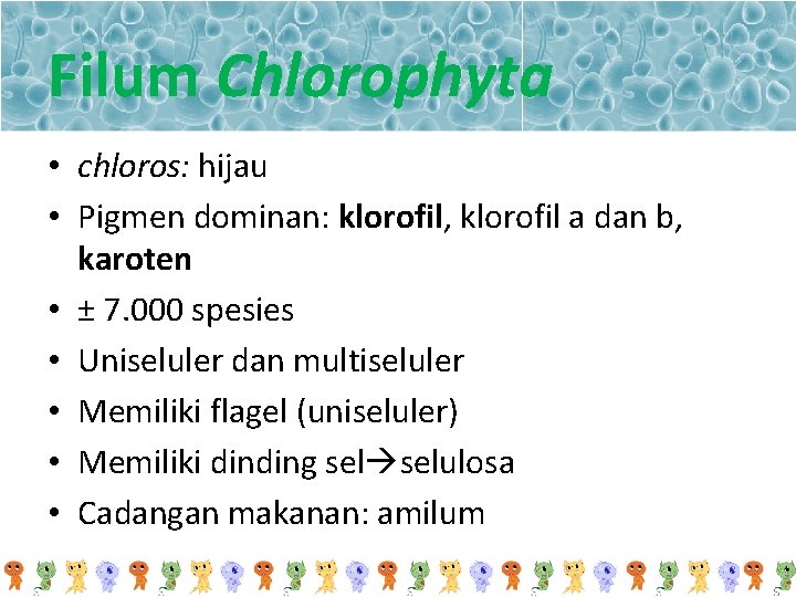 Filum Chlorophyta • chloros: hijau • Pigmen dominan: klorofil, klorofil a dan b, karoten
