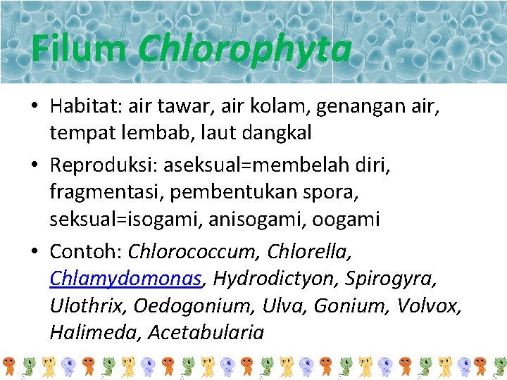 Filum Chlorophyta • Habitat: air tawar, air kolam, genangan air, tempat lembab, laut dangkal