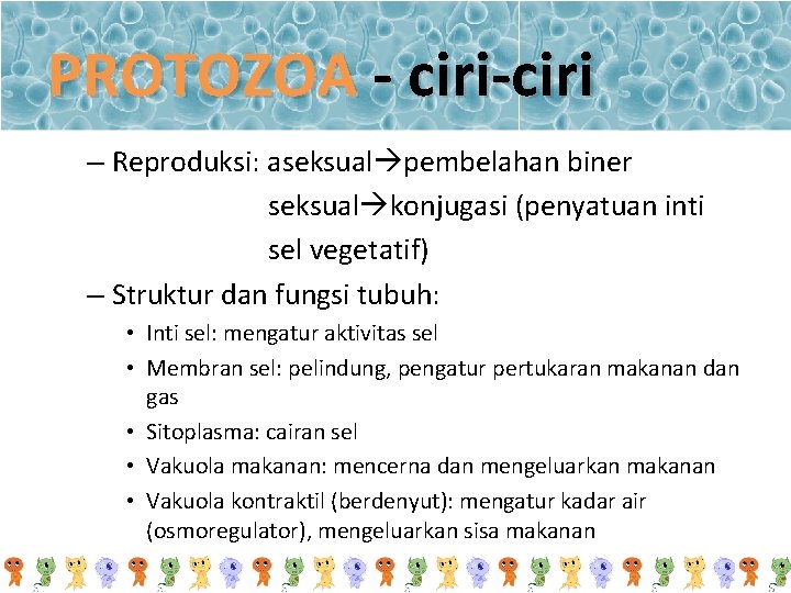 PROTOZOA - ciri-ciri – Reproduksi: aseksual pembelahan biner seksual konjugasi (penyatuan inti sel vegetatif)